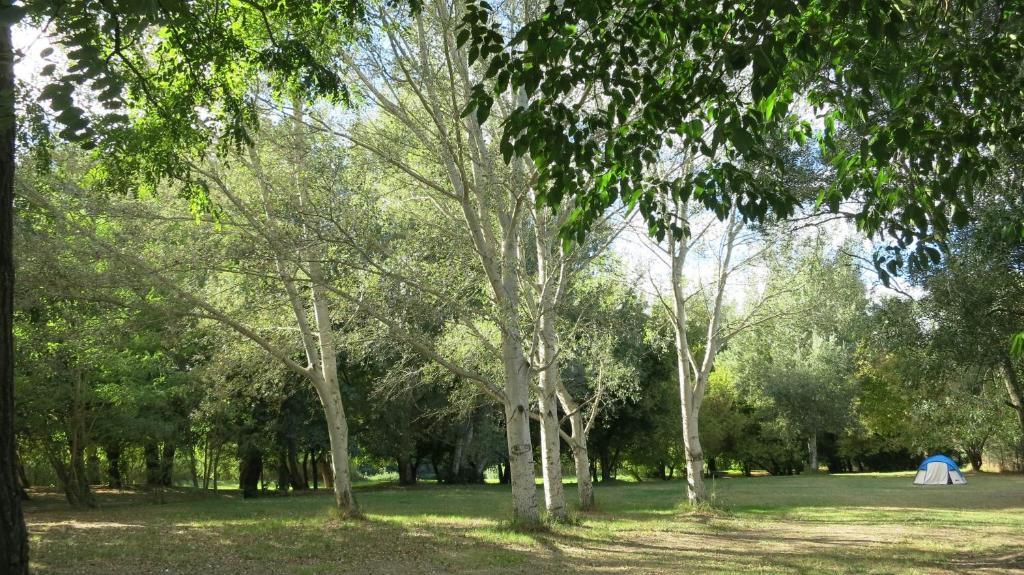 Camping Paradis Bellerive Montfrin Екстер'єр фото